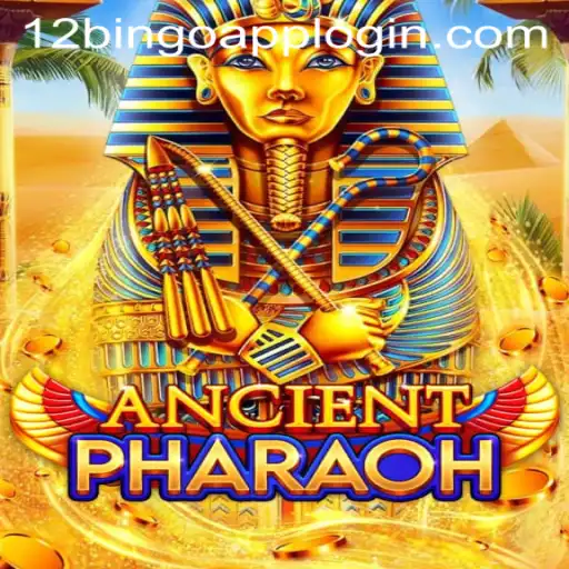 Discover the Adventure of AncientPharaoh at 12Bingo.COM