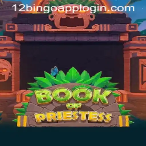 Discover the Enthralling World of BookOfPriestess and the Dynamics of 12Bingo.COM