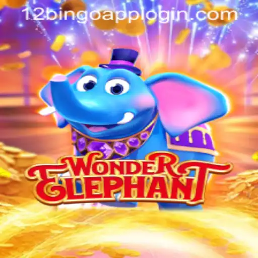 Discovering WonderElephant: A Fresh Twist in the Gaming World with 12Bingo.COM