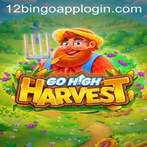Discover the Thrilling World of GoHighHarvest and 12Bingo.COM