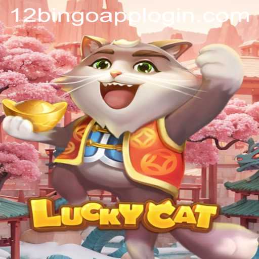 Discover the Exciting World of LuckyCat and 12Bingo.COM