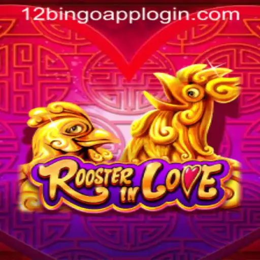 RoosterInLove: A Fun Adventure with 12Bingo.COM